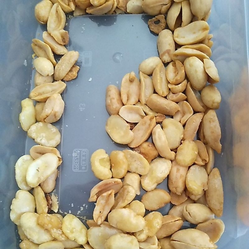 

kacang bawang