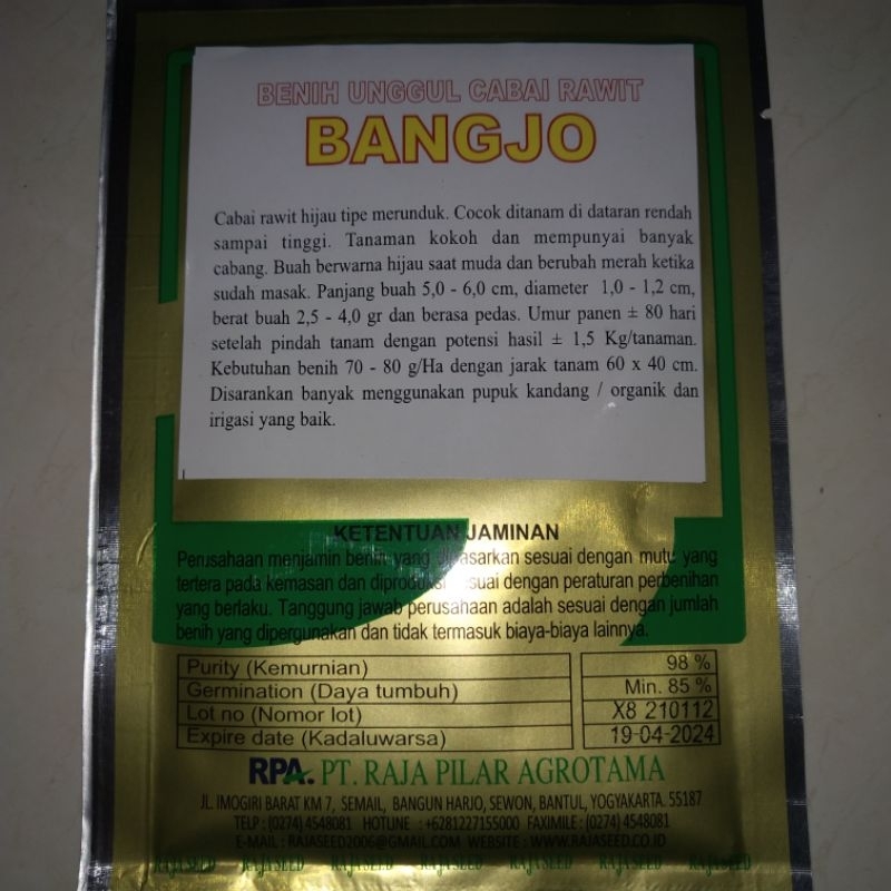 Benih Bibit Unggul Cabe Rawit BANGJO 10Gr Raja Seed