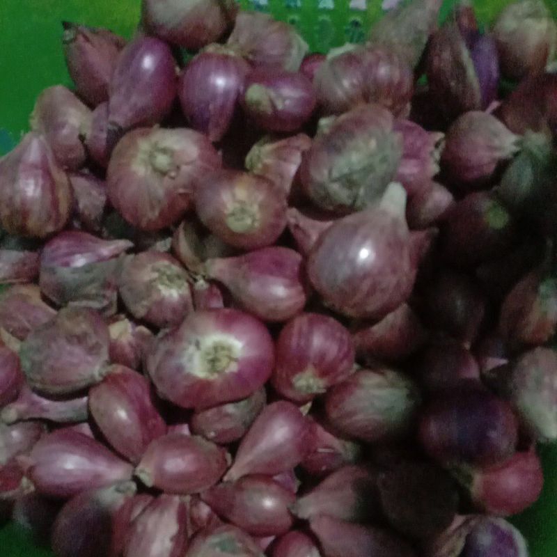 

bawang merah Brebes ukuran besar 1/2 kg