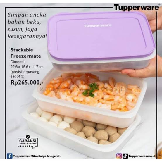 

STEAKABLE FROZER TUPP,WADAH FROZEN FOOD,WADAH DAGING SAPI