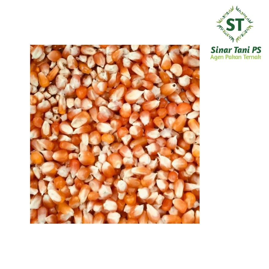 Jagung Kristal 25kg Makanan Pakan Burung