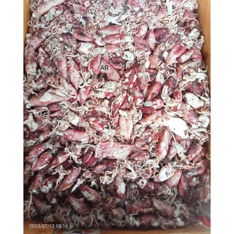 

Cumi asin kiloan enak fresh isi kurleb 1 kilo terlaris termurah KHUSU GOJEK