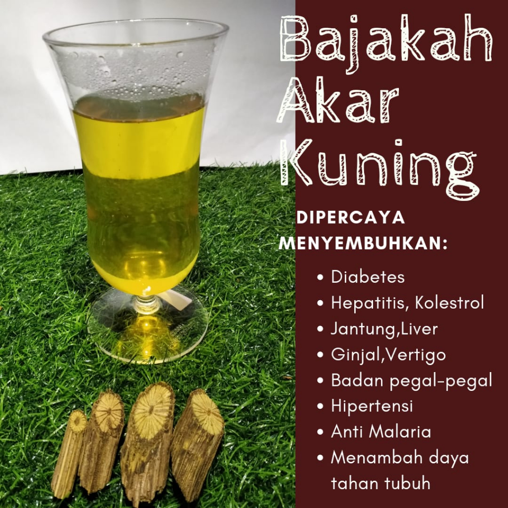 

Bajakah Akar Kuning