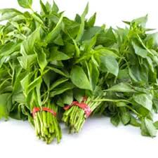 

Kemangi hijau Ikatan