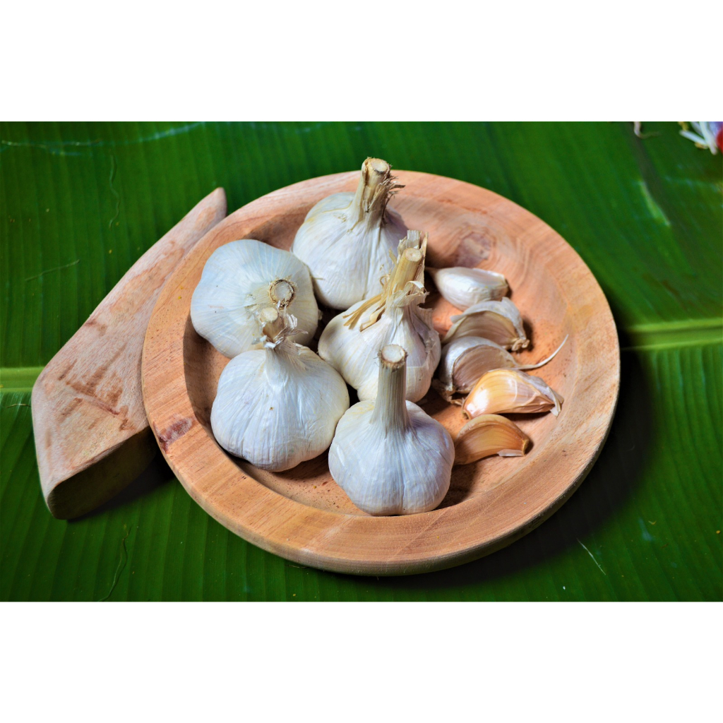 

KIRIM INSTANT-Bawang Putih