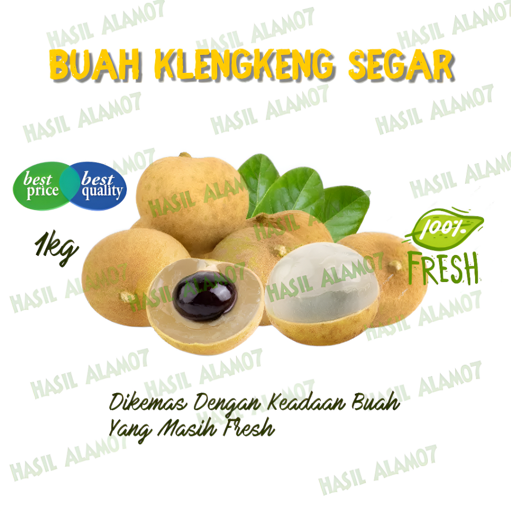 

Buah Kelengkeng Segar Tanpa Ranting 1kg