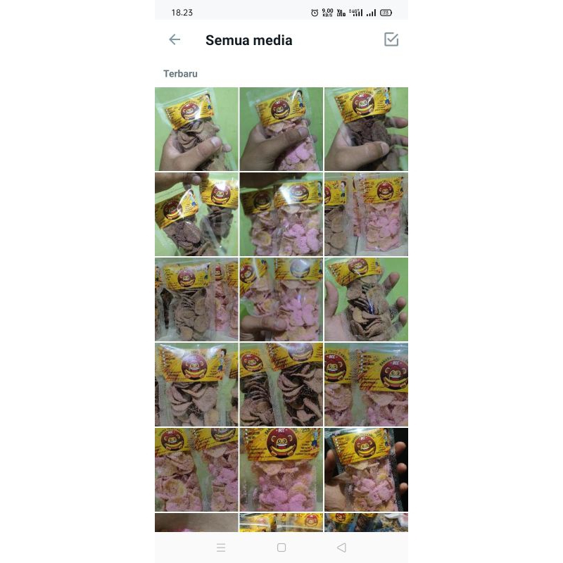 

bananachipscandu 2 rasa