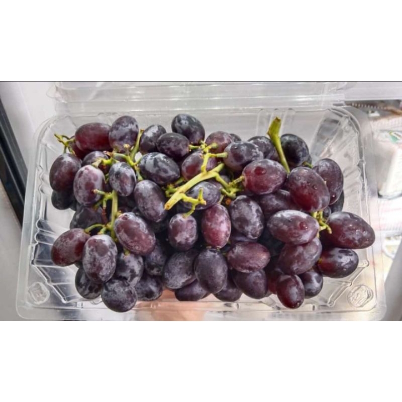 

ANGGUR AUTUMN 1KG