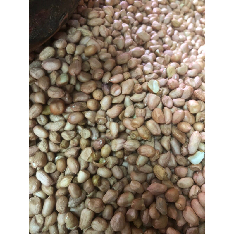 

[Bumi Mart ] Kacang Tanah KUPAS | 1 KG