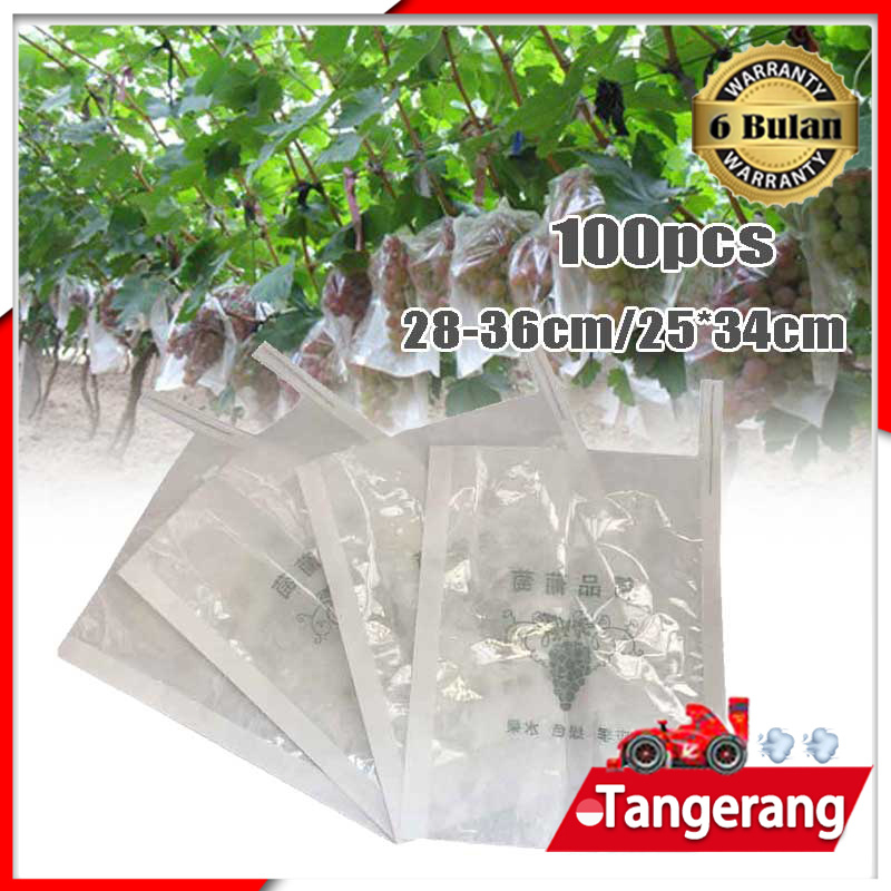 100pcs Pembungkus Buah Fruit Bag Fruit Cover Bungkus Buah Anggur, Kelengkeng, Mangga, Jambu Plastik 