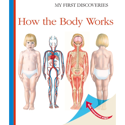 My First Discoveries - MFD - How The Body Works- Hardcover