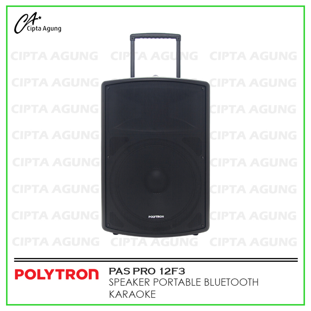 POLYTRON PROFESSIONAL SPEAKER PORTABLE PAS-PRO12F3 PAS PRO12 F3  PASPRO12F3  PAS PRO 12 F3  PASPRO 1
