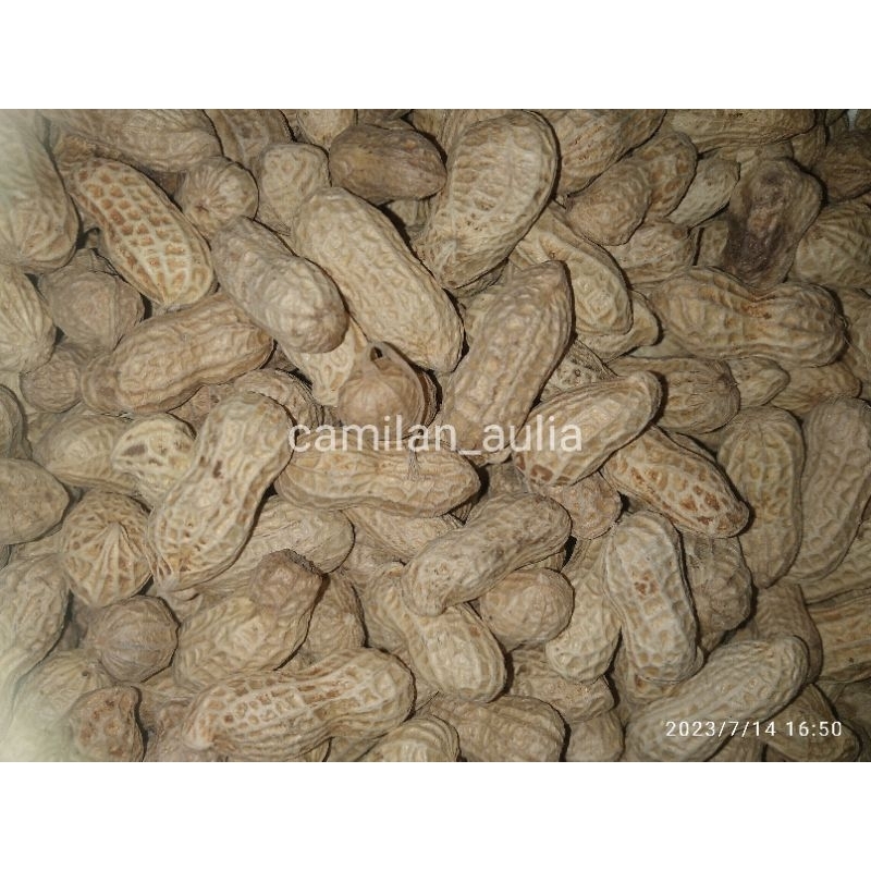 

Kacang Kulit Oven (100gr)