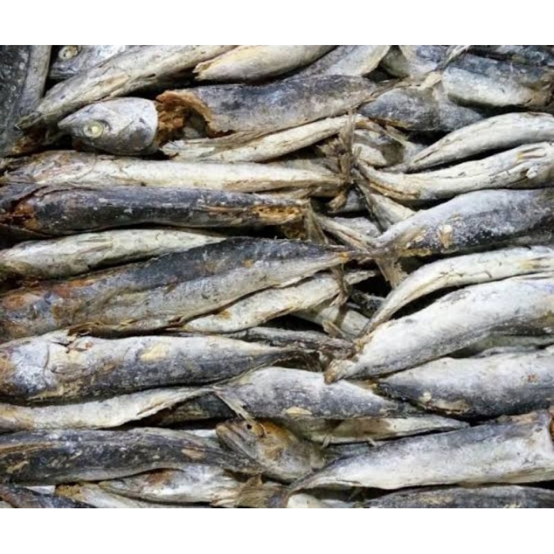 

Ikan tongkol asin 250 gram