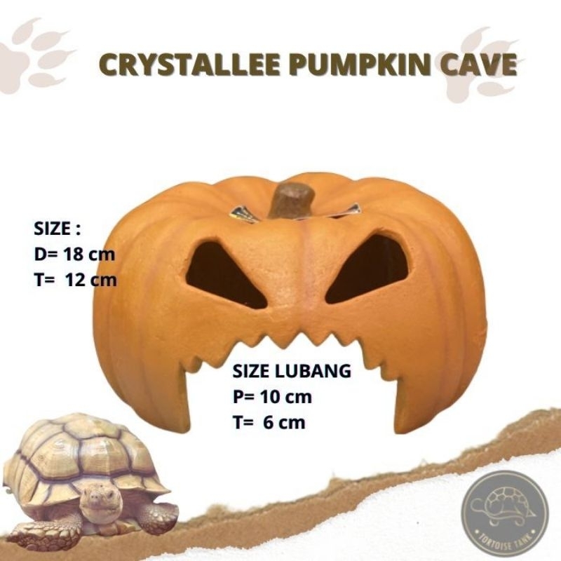 Hiding cave / pumpkin cave M