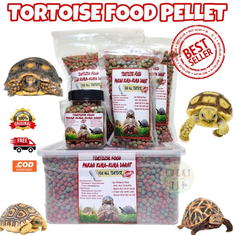 BEST Makanan pakan pelet kura kura darat sulcata sulkata pardalis indian star aldabra russian tortoi