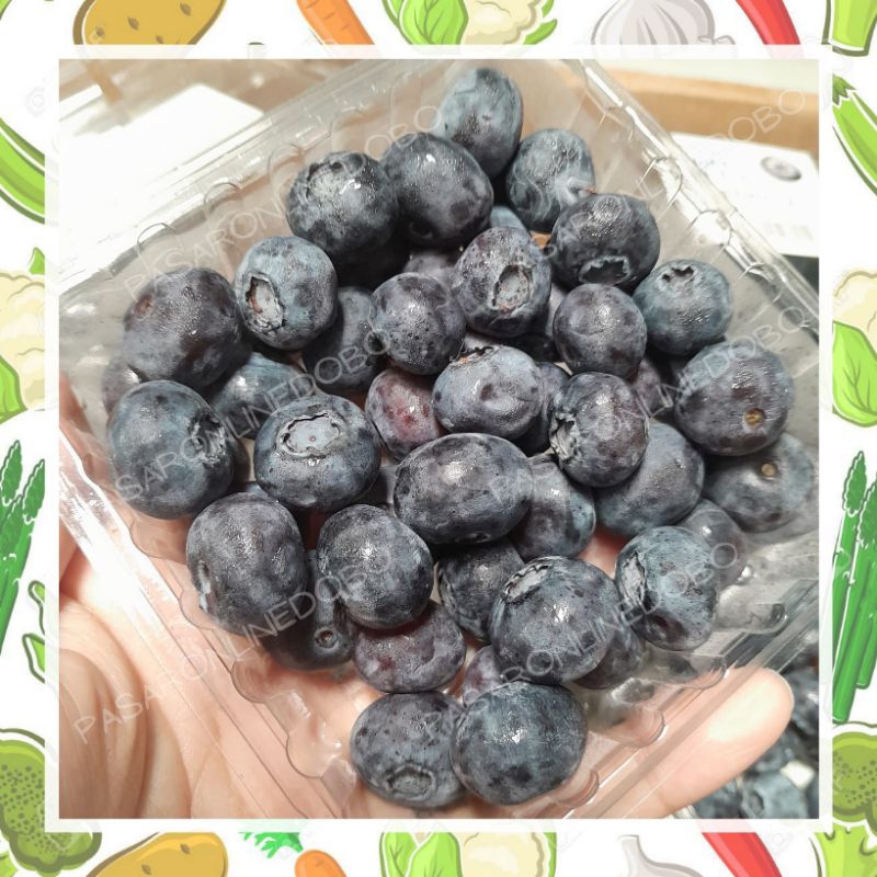 

Buah Blueberry import fresh