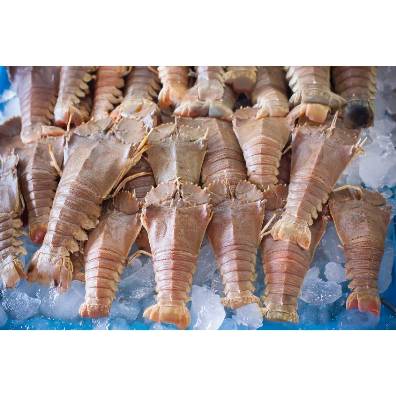 

udang_topeng_frozen