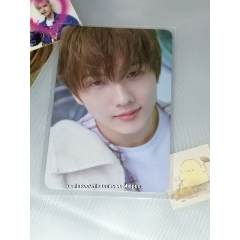 jisung md dream laundry shop photocard