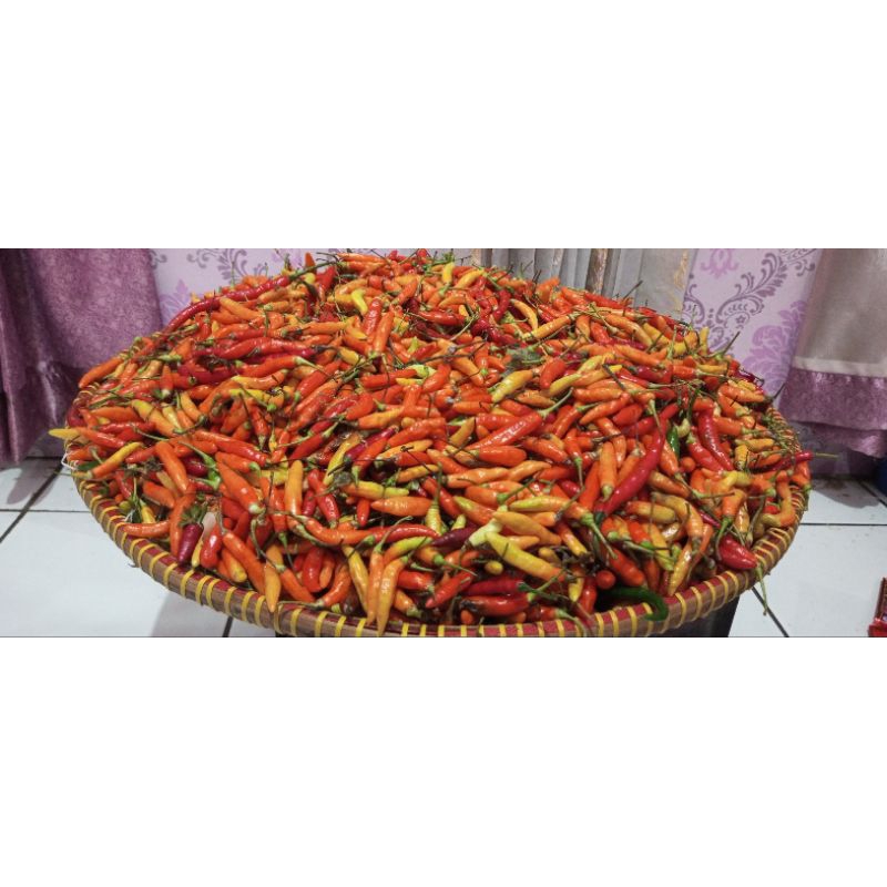 

Cabe Rawit Merah 400 gram