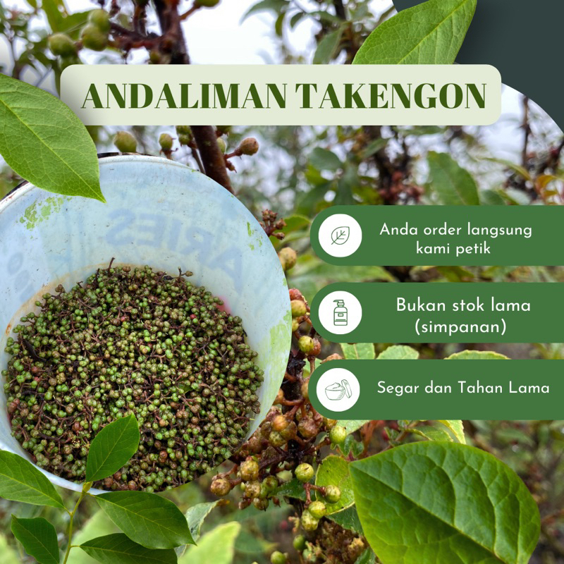 

Andaliman Segar (Sichuan Pepper)