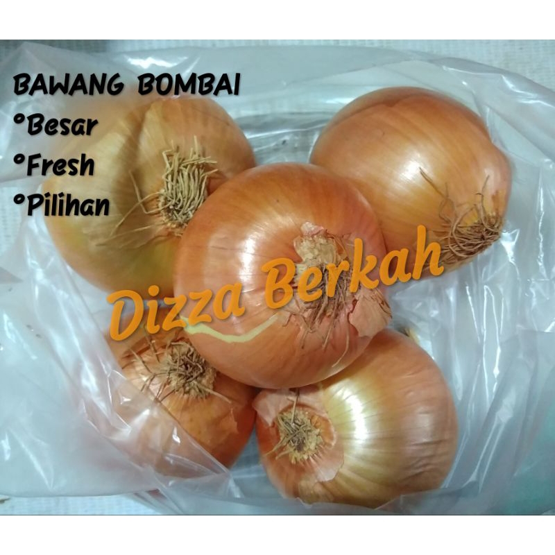 

Bawang Bombay/100gr/fresh/pilihan/bagus/dizza berkah