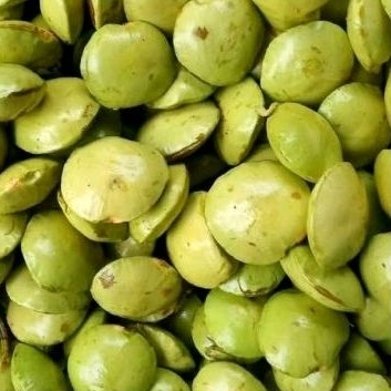 

[ MURAH ] - Jengkol Muda (per 100gr)