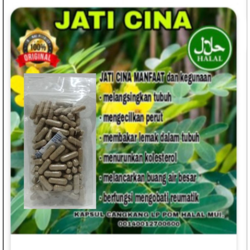 herbal pelangsing jati cina isi 100 kapsul