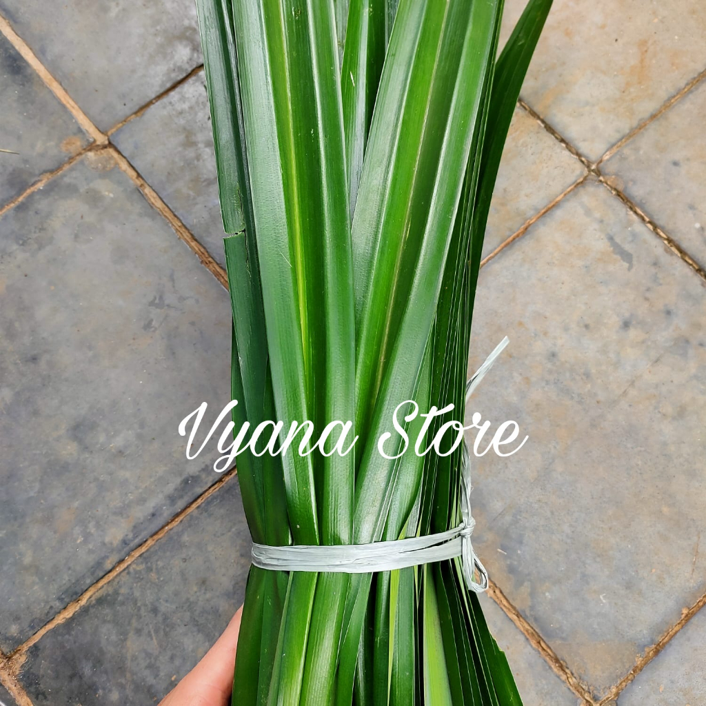 

Daun Pandan Wangi Segar 1 kg Fresh