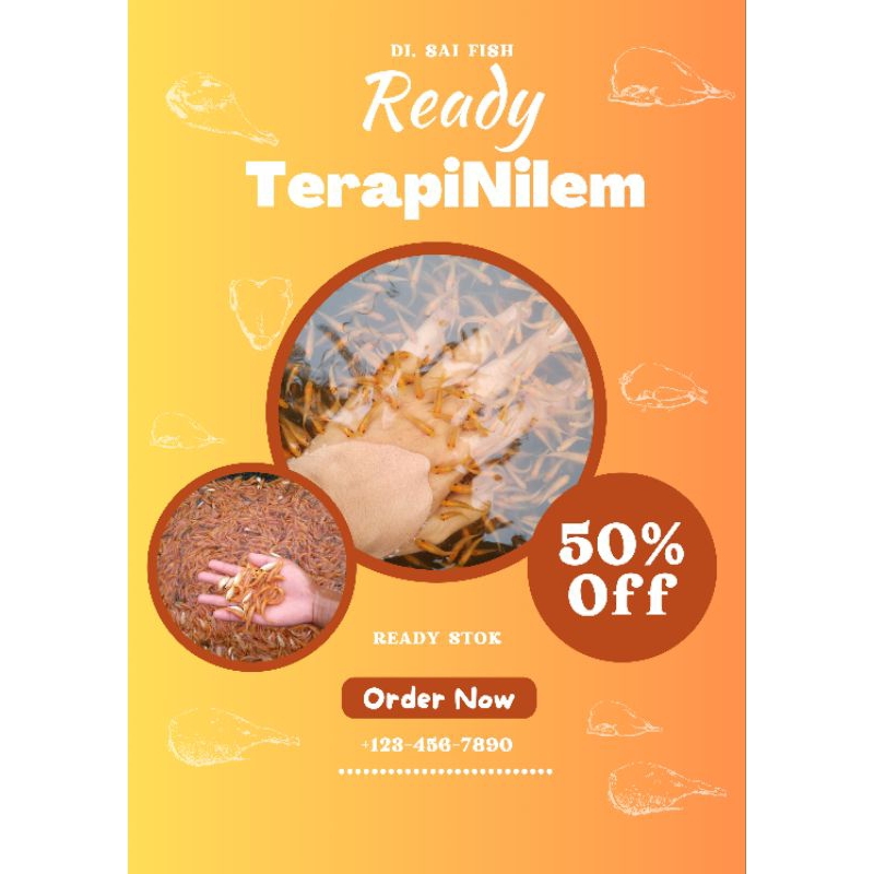 Paket 100 EKOR ikan terapi nilem | Nilem Terapi | Ikan Terapi | Terapi nilem warna lemon hitam