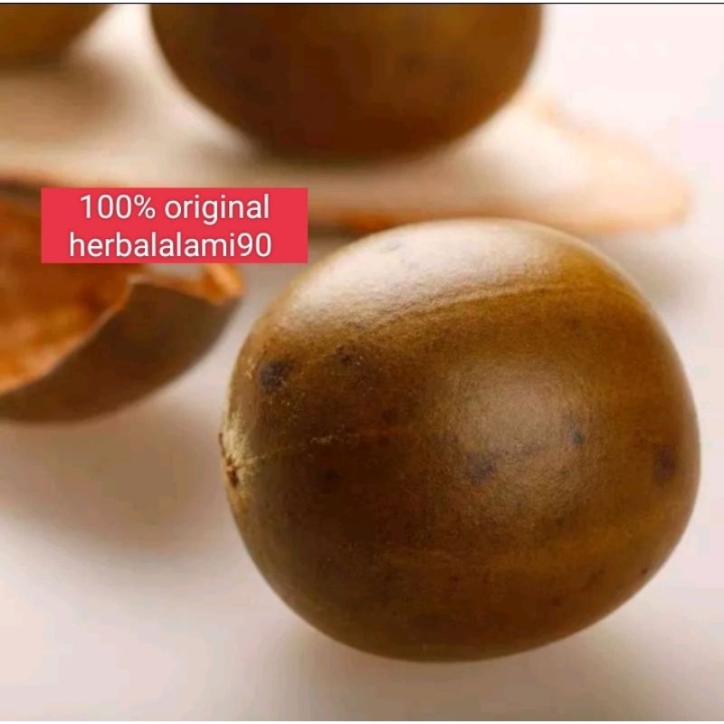 

buah segar Lo Han Guo/buah Lo Han Kuo