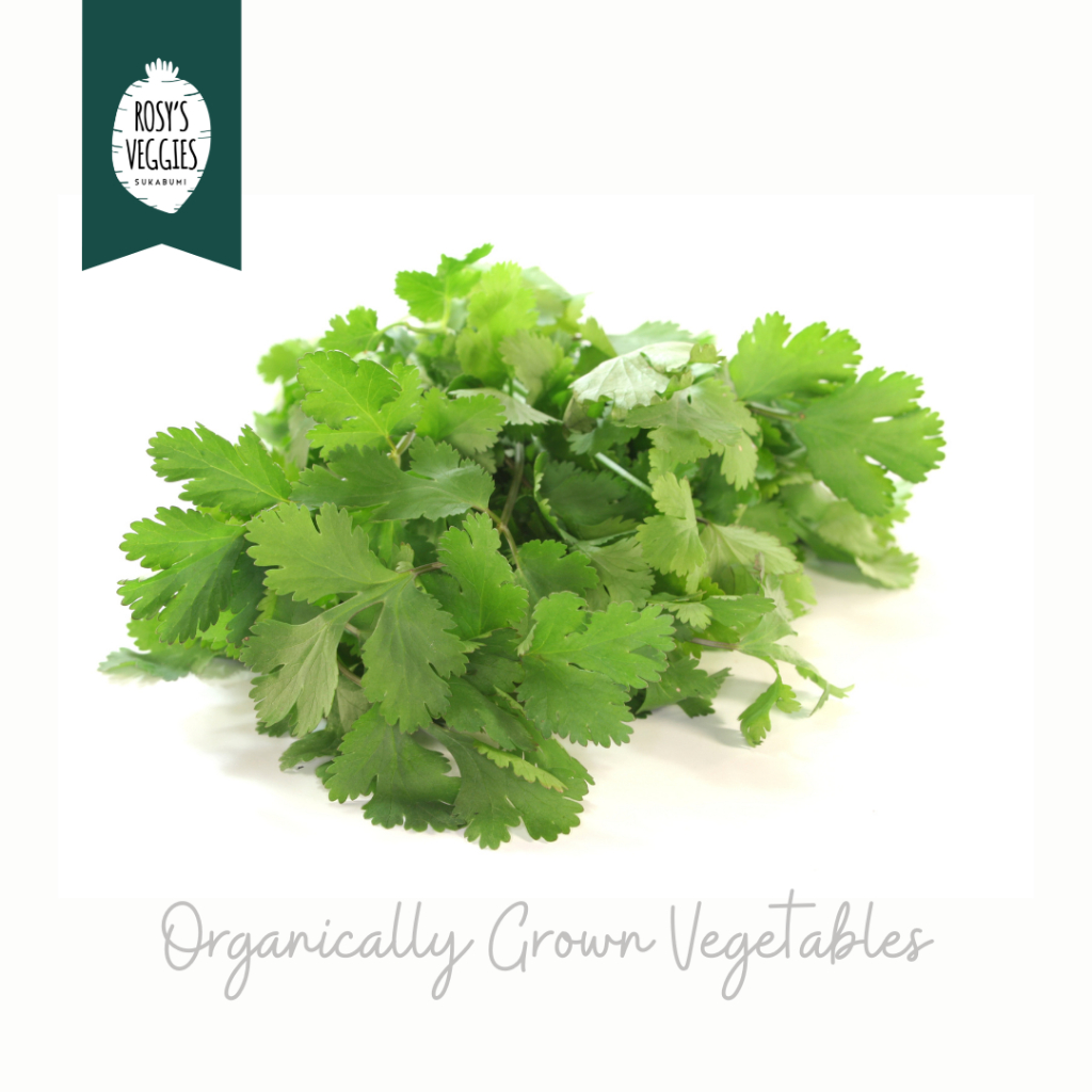 

Daun Ketumbar Organik | 150 gr