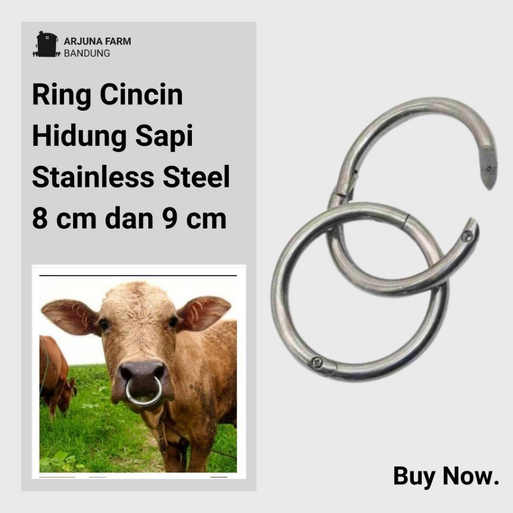 Ring Cincin Hidung Sapi Stainless Steel Bull Ring Sapi Kerbau