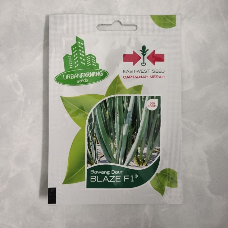 Benih Bawang Daun Blaze F1 Cap Panah Merah PT East West Indonesia 500 Seed