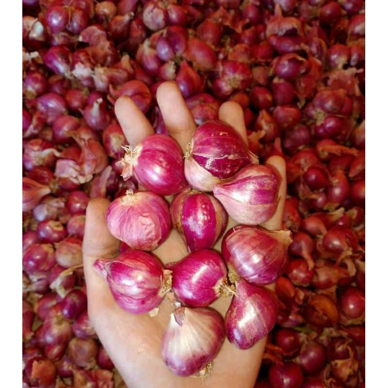 

Bawang merah kering super
