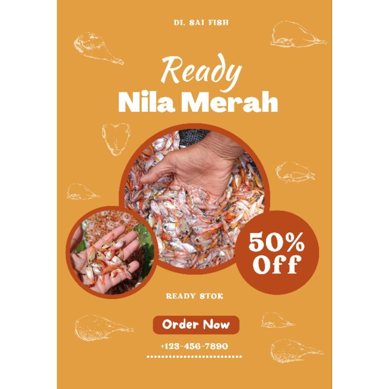 

Paket 50 Nila merah bangkok siap tebar bonus pakan pelet