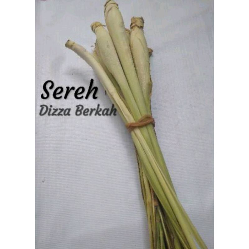 

SEREH (SERAI)/100gr/Dizza Berkah