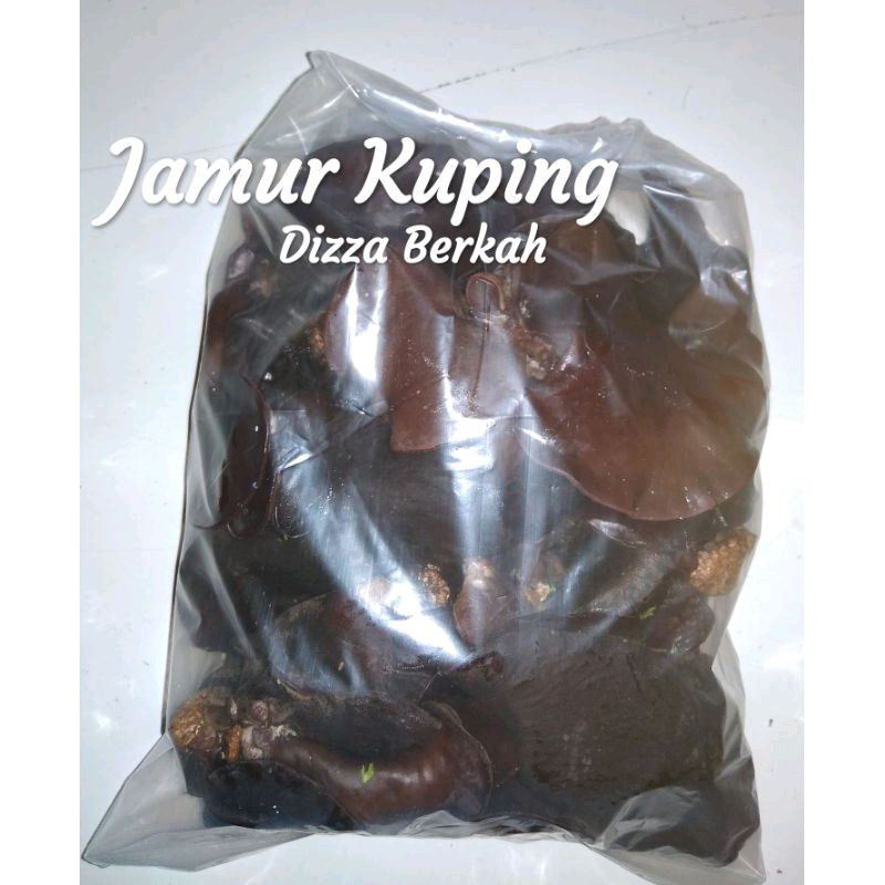 

JAMUR KUPING/1 Bungkus/Fresh/Dizza Berkah