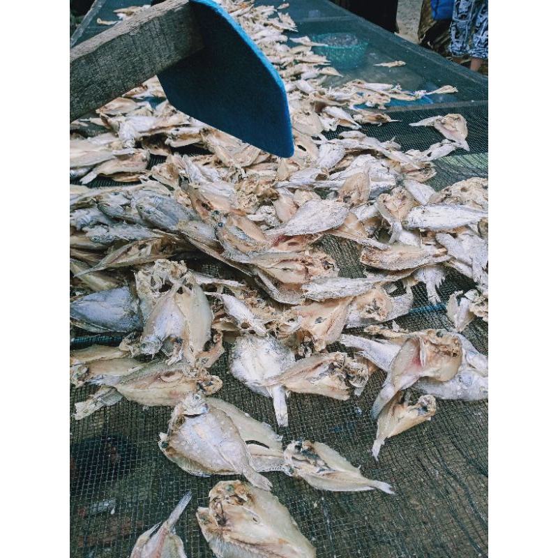 

Ikan Asin Belah khas Medan