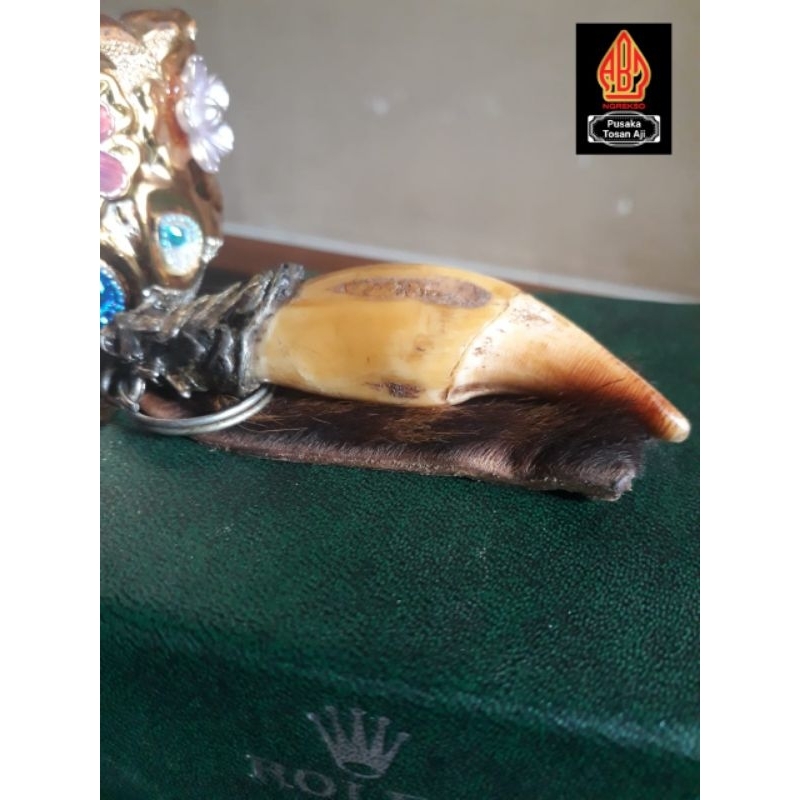 Pusaka Sikepan Asli Original Peninggalan SiMbah Bertuah Jhoss