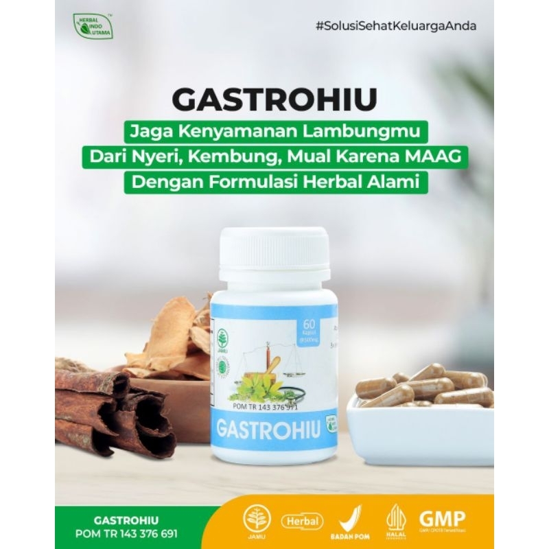 

Gastro Hiu Obat Herbal Alami Maag Akut Asam Lambung Gerd 60 Kapsul Terlaris