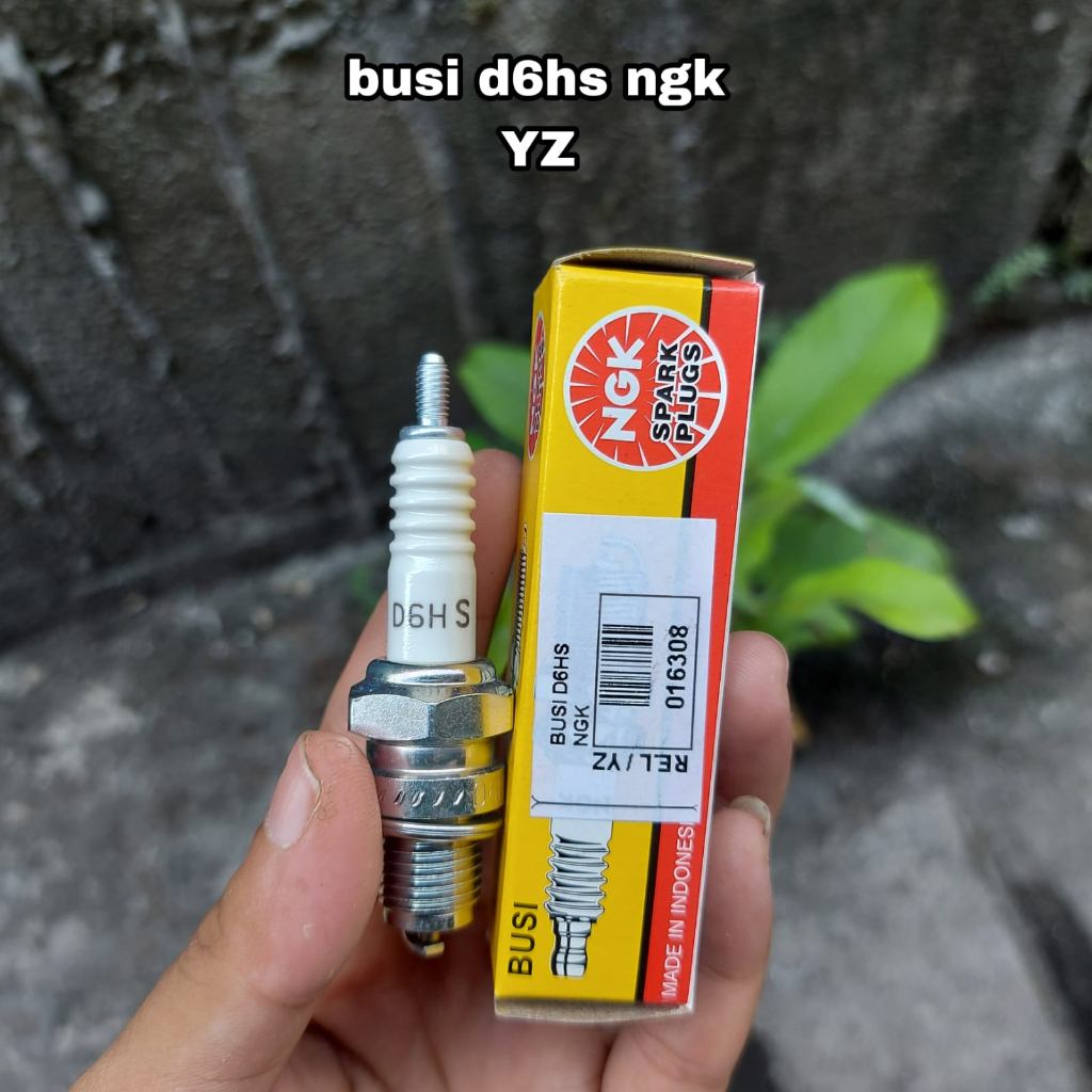 BUSI D6HS NGK