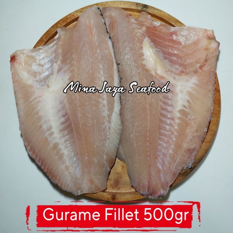 

Ikan Gurame Fillet 500 Gram / FREE SUDAH DIBERSIHKAN