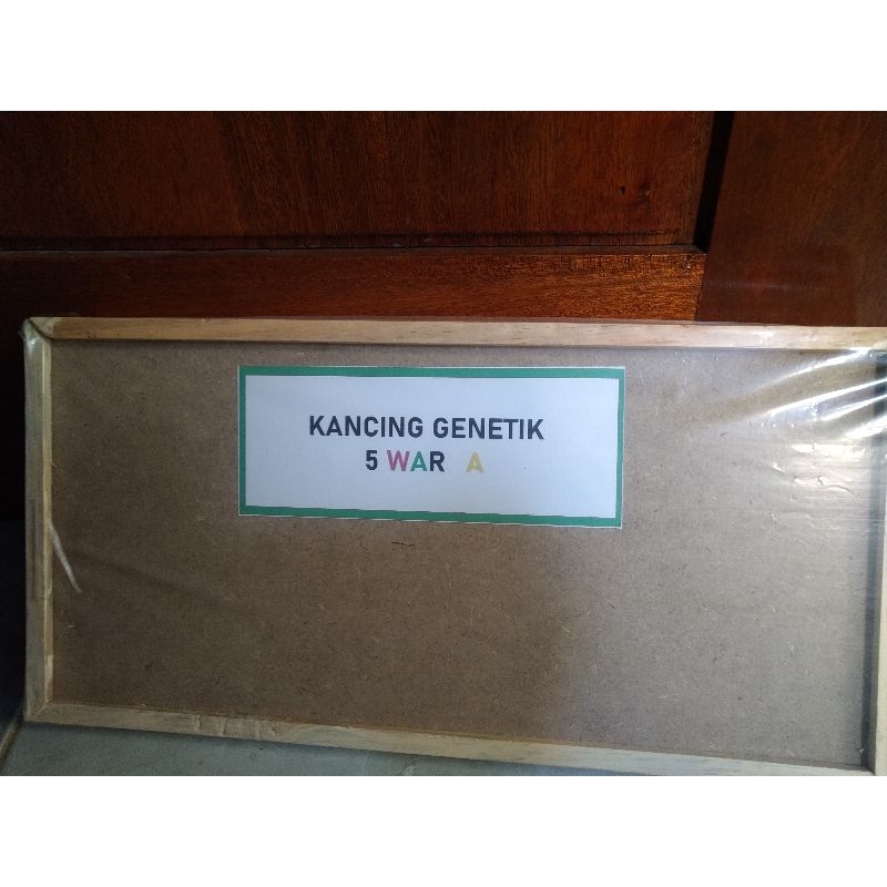 

KANCING GENETIKA PERAGA PENDIDIKAN TERMURAH