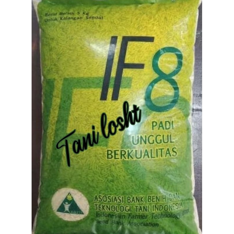 BENIH PADI UNGGUL BERKUALITAS IF 8 ORIGINAL AB2TI KEMASAN 5KG TERBARU