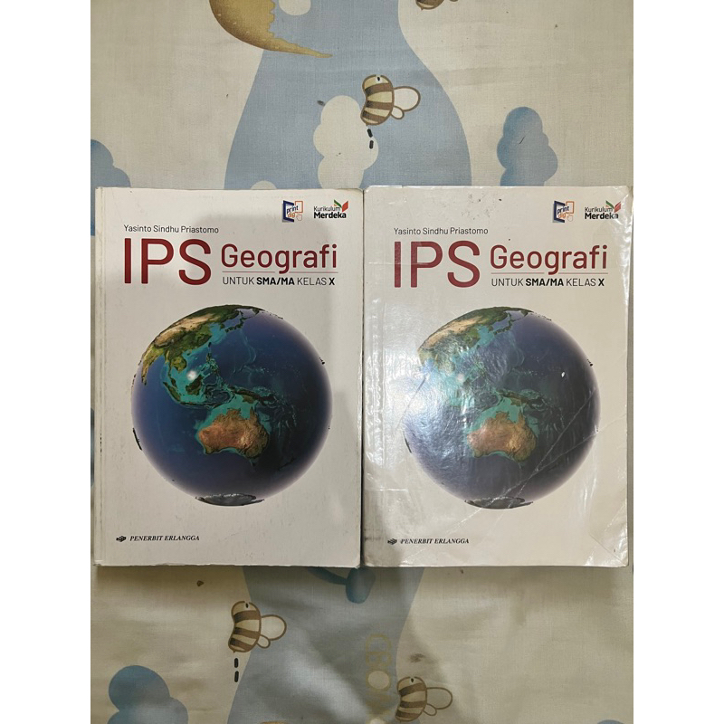 Buku Geografi Kurikulum Merdeka kelas X SMU Penerbit Erlangga (Bekas)