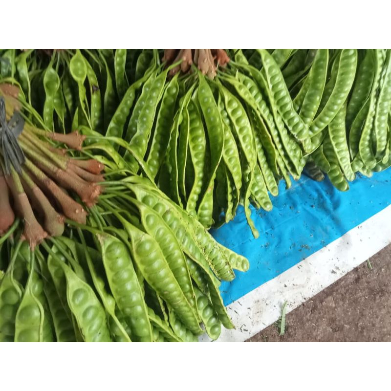 

PETE SUPER PER PAPAN