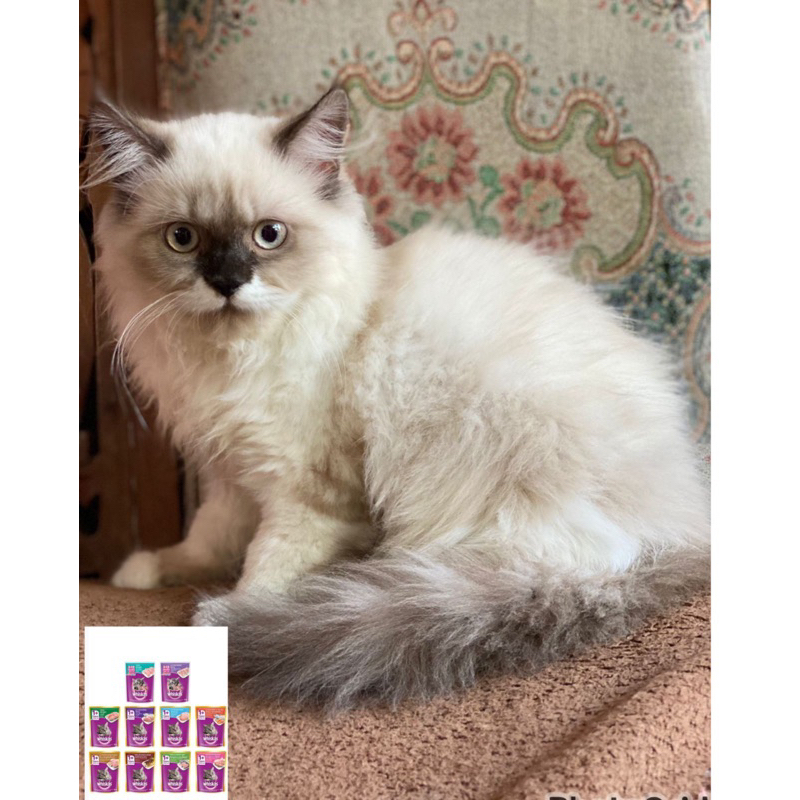 WHISKAS makanan kucing