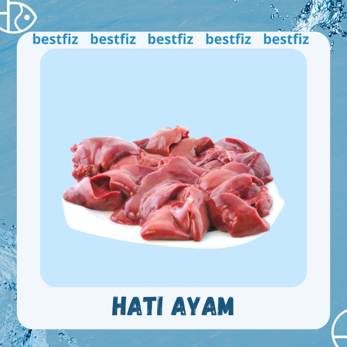 

Hati Ayam