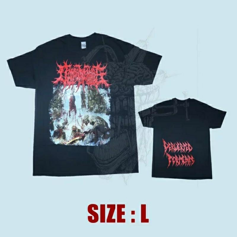 TS - DECOMPOCITION OF ENTRAILS - Perverted Torments